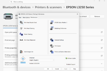 Epson printhead cleaning process